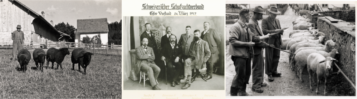Geschichte